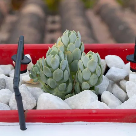 Iron House - Penthouse With Bathtub In Golden Mile & Bridge Marbellac