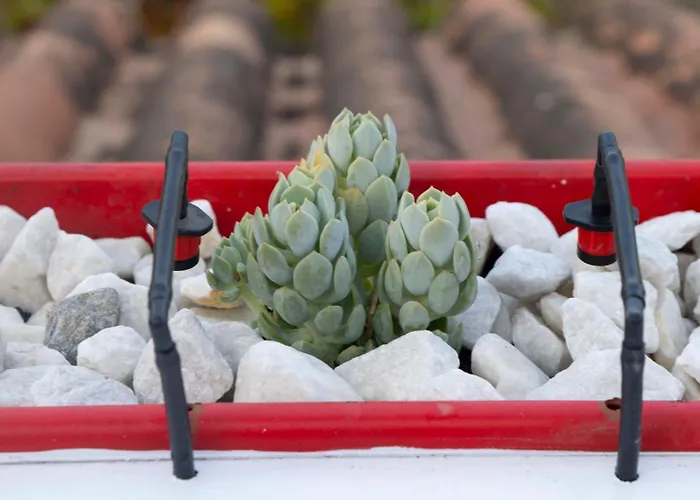 Iron House - Penthouse With Bathtub In Golden Mile & Bridge 마르베야